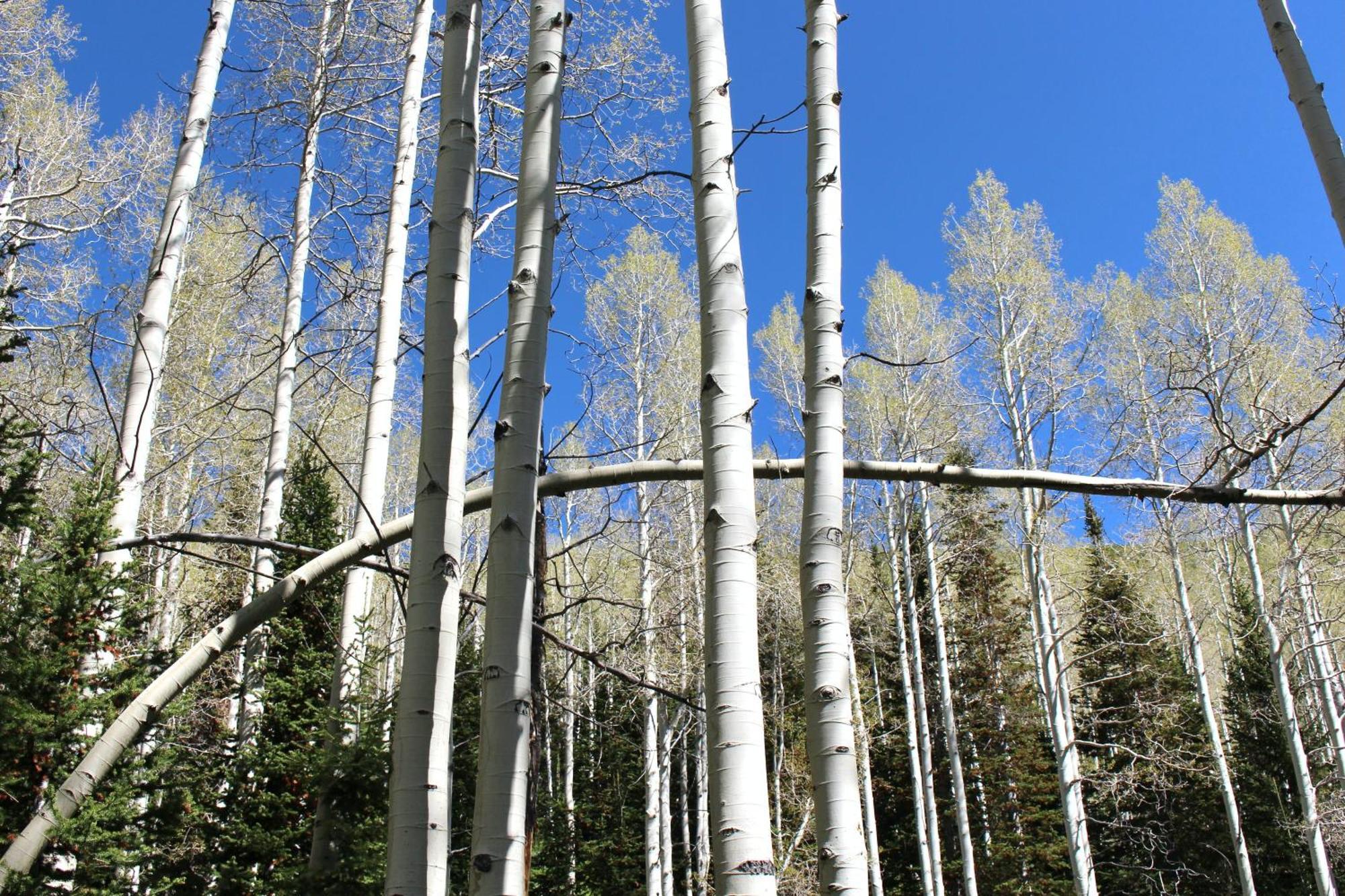 909 Park Ave Home Park City Luaran gambar
